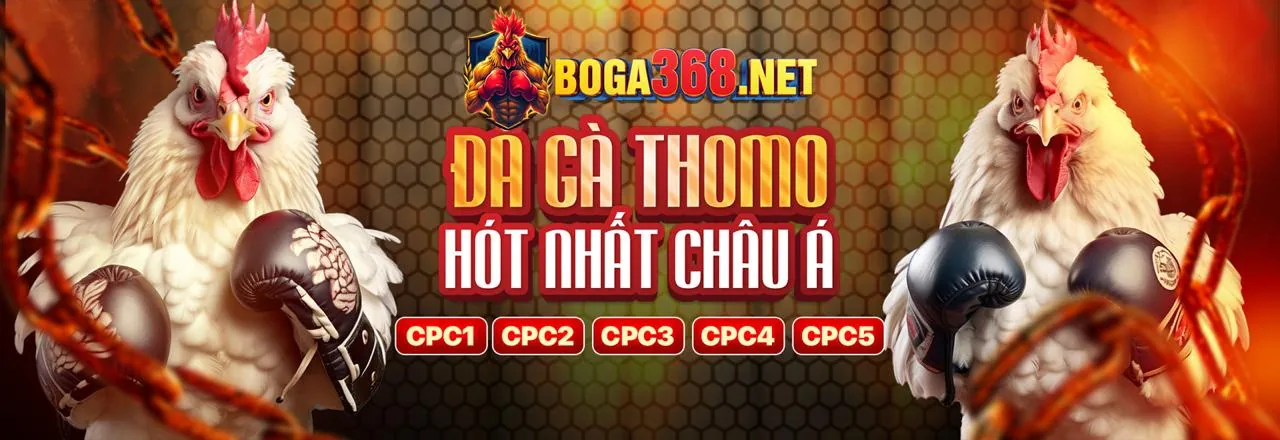 Giao diện cá cược đá gà trực tuyến 79King